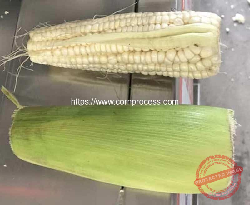 Automatic-Fixed-Length-Corn-Head-Cutting-Machine-Result